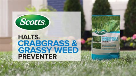 scotts weedex with halts|scotts halts crabgrass preventer.